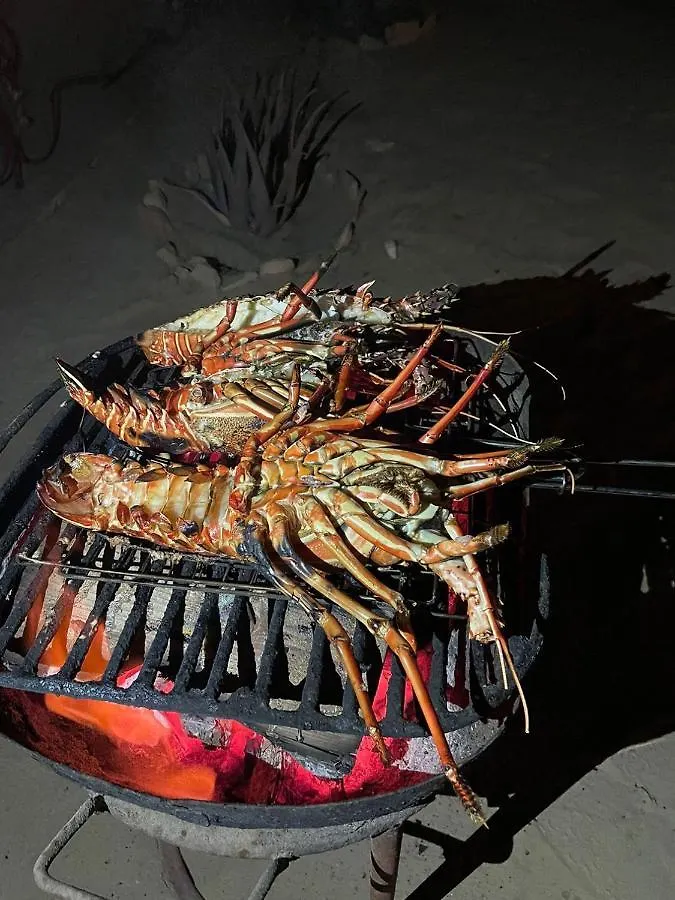 Vilas Na Areia Aparthotel Sal Rei Kaapverdische Eilanden
